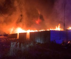 Pożar hali magazynowej w Rudzie Śląskiej