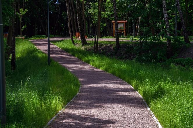 Rów Kalny w Sosnowcu znajduje się w Parku Tysiąclecia
