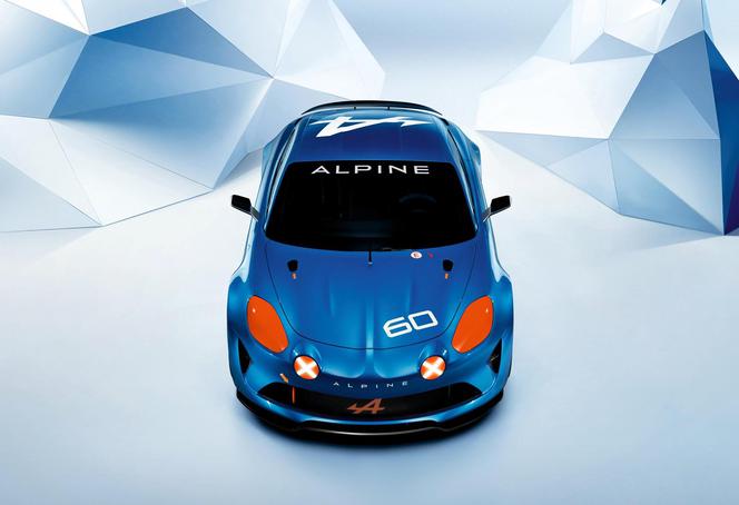 Alpine Celebration Concept