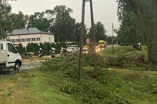 Potężna nawałnica przeszła przez woj. lubelskie. Straty są ogromne, jedna osoba jest ranna [ZDJĘCIA]