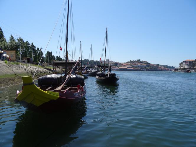 Porto tradycyjne barki