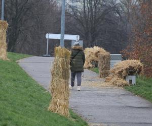 12-latek roztrzaskał się o ławkę. Urzędnicy reagują po tragicznej śmierci chłopca