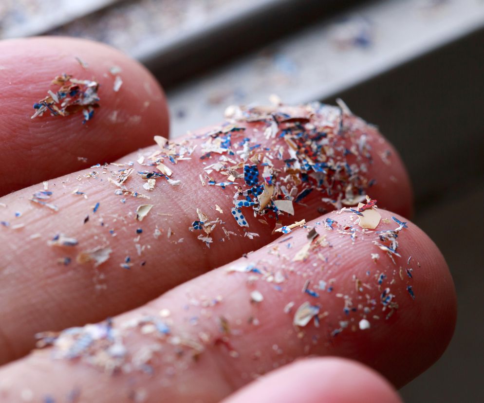 Zbliżenie na dłoń posypaną drobnymi, kolorowymi fragmentami mikroplastiku w odcieniach niebieskiego, beżu i bieli. Obraz ilustruje powszechność mikroplastiku w naszym otoczeniu i jego możliwy wpływ na organizm, o czym więcej przeczytasz na Poradnik Zdrowie.