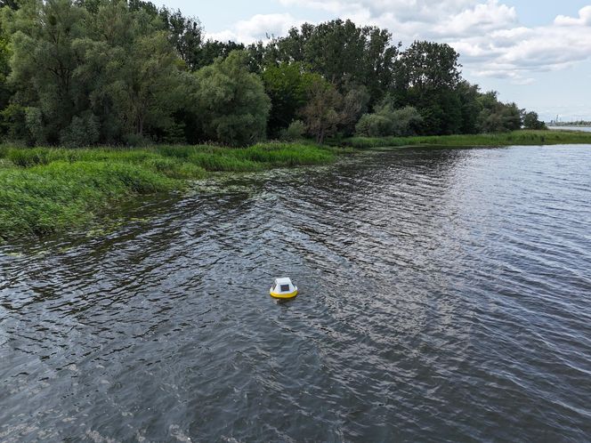Specjalne boje na jeziorze Dąbie