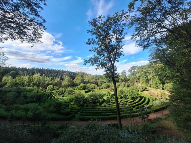 Arboretum Bramy Morawskiej zachwyca jesienią