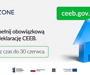 Złóż deklarację CEEB! To ostatni dzwonek!