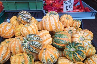 Ceny dyni 2025 na Nowym Kleparzu i Starym Kleparzu w Krakowie