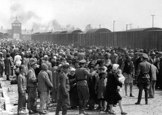 Węgierscy Żydzi w Auschwitz-Birkenau przed wysłaniem do komór gazowych