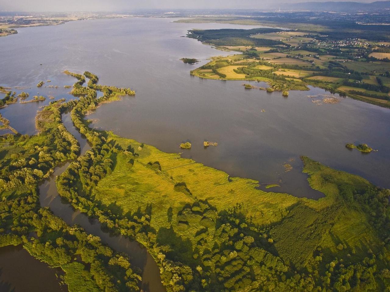 Na Śląsku powstanie nowa wyspa. Zostanie stworzona specjalnie dla... ptaków [ZDJĘCIA]