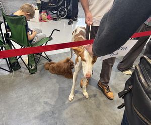 ZooPark w Lublinie. Dzień drugi