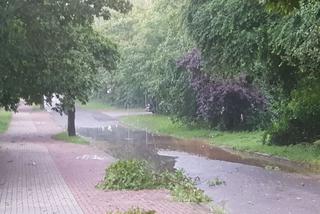 Gwałtowna burza nad Olsztynem - połamane drzewa