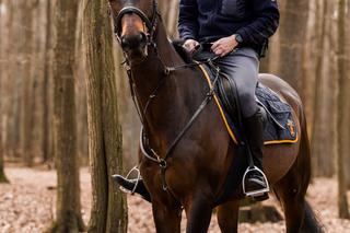 Pięciolatek dołączył łódzkiej Straży Miejskiej. Będzie wspierał swoich dwunożnych kolegów