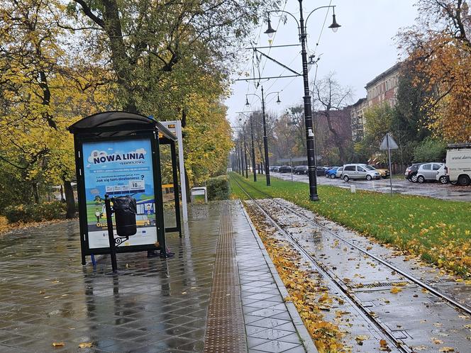 "Czarna szyna" to niepokojące zjawisko. Alarm dla mieszkańców Torunia