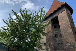 Lublin: Baszta gotycka na Starym Mieście dostanie nowe życie