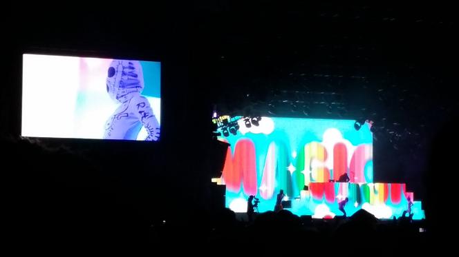 Die Antwoord na Orange Warsaw Festival 2016