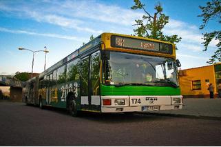 Wakacyjna zmiana w rozkładzie jazdy zielonogórskich autobusów!