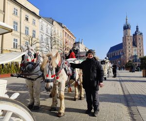 obrońcy zwierząt zniechęcają turystów do przejażdżek dorożkami 