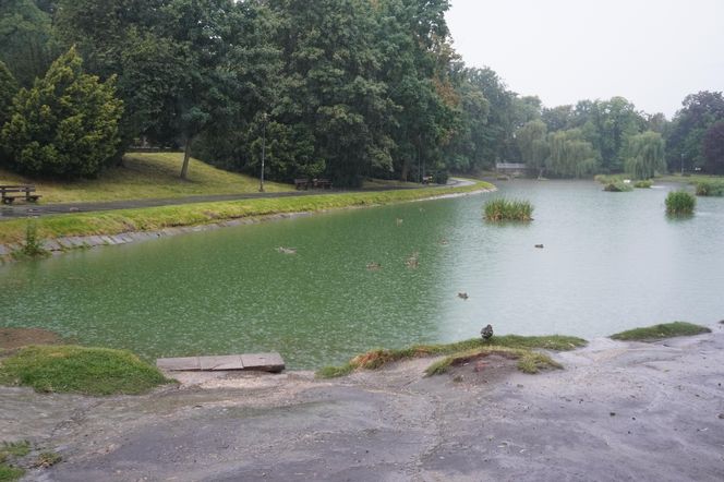 Staw w Parku Miejskim w Kielcach w czasie ulewy
