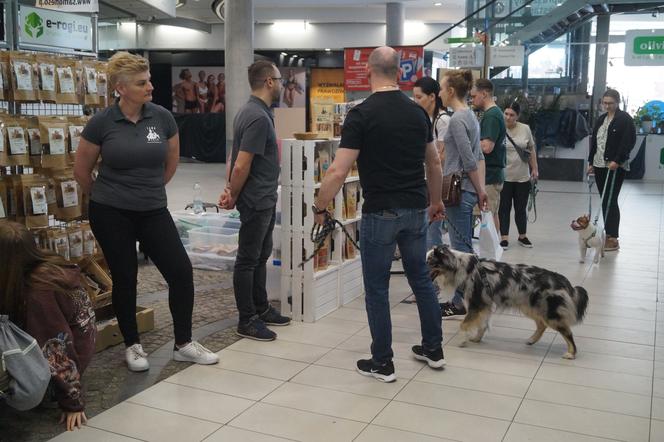 PupiLove Targi 2023 za nami! Czworonogi opanowały Focus Mall Bydgoszcz [ZDJĘCIA]