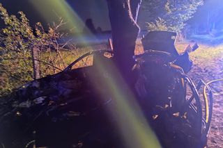 BMW uderzyło w drzewo i zapaliło się, Zginęła jedna osoba!