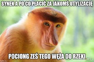 Zatruta Odra. Internauci komentują reakcje rządu [MEMY] 