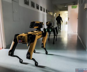 Robopies odwiedził i ćwiczył z warszawskimi policjantami