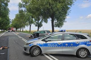 Tragedia pod Częstochową. Kierowca zginął po czołowym zderzeniu z lawetą