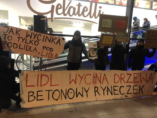 Łodzianie protestowali przed marketem. Podczas budowy wycięto prawie 100-letnie drzewo!