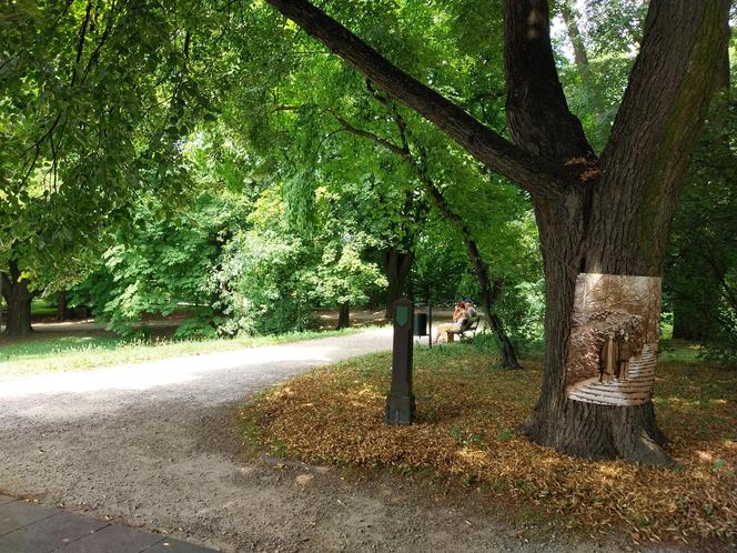 Letni spacer w parku miejskim w Zamościu