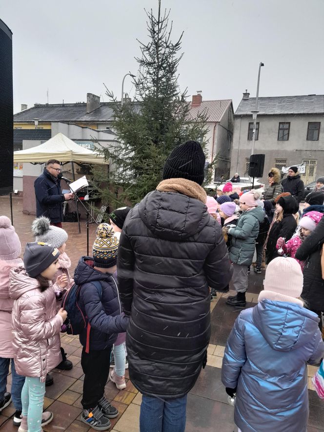 Na rynku w Mordach stanęła choinka