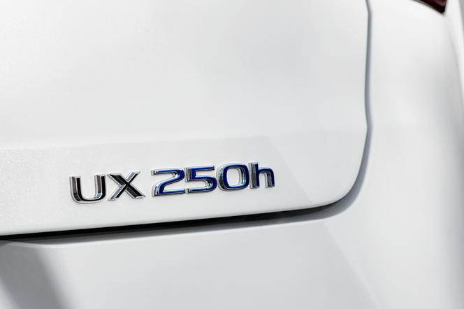 Lexus UX 250h E-Four F Sport
