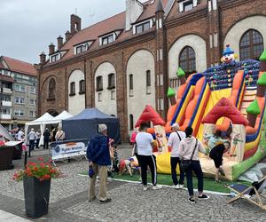 WOLIN Z RYBĄ NA TALERZU - KAMIEŃ POMORSKI - GALERIA