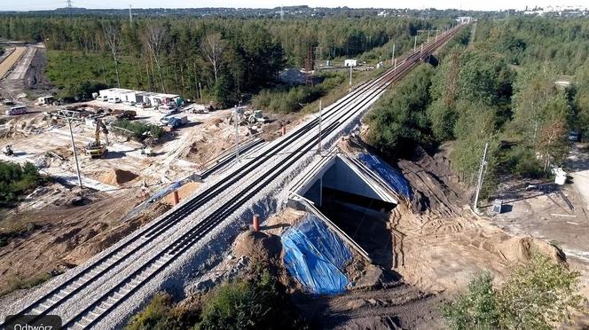 Wsuwanie wiaduktu kolejowego w nasyp w Częstochowie przez Strabag