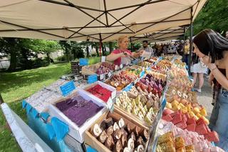 Kalisz. Trwa Festiwal Smaków Świata