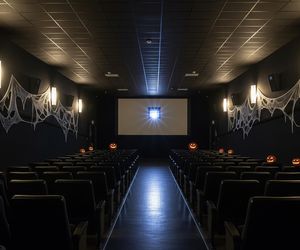 Halloween w NoveKino Siedlce. Jakie horrory zobaczy publiczność?