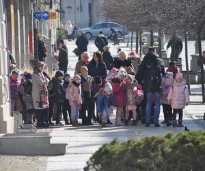 Słoneczne popołudnie 8 marca w Kielcach