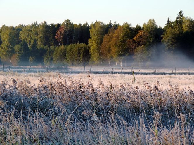 6. Puszcza Augustowska – między jeziorami i bagnami