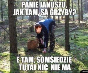 Memy o grzybobraniu 2022