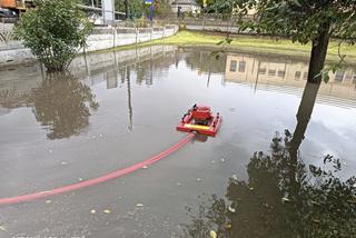 Luksusowe BMW Macieja Dowbora zatopiło się w Będzinie. Teraz to tylko pozostaje się popłakać