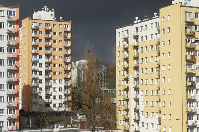 Do zajścia doszło na Placu Staromiejskim.