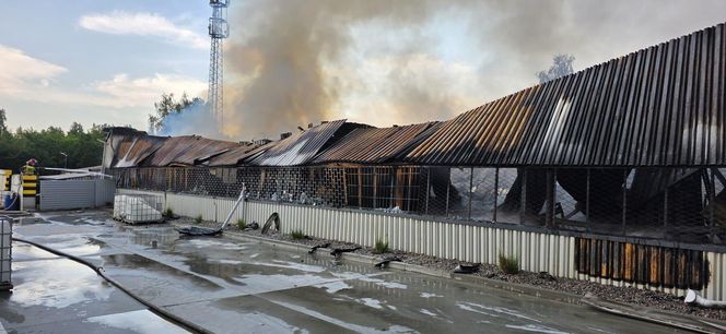 Pożar hali w Siemianowicach Śląskich