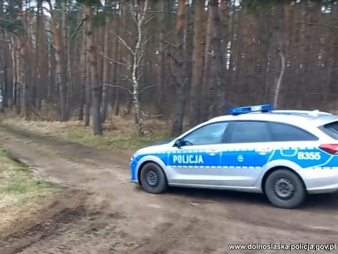 Policjanci 12 dni pilnowali… lasu. Na koniec akcji doszło do dwóch potężnych eksplozji