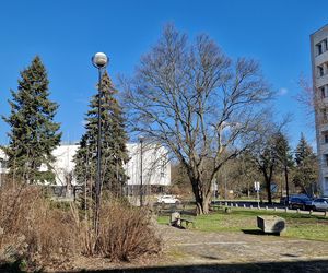 Najstarszy park miejski w Bydgoszczy zostanie odnowiony! Zmieni się nie do poznania