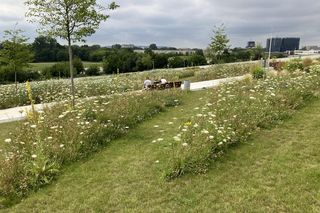 Zielony dach - Cogiteon Kraków