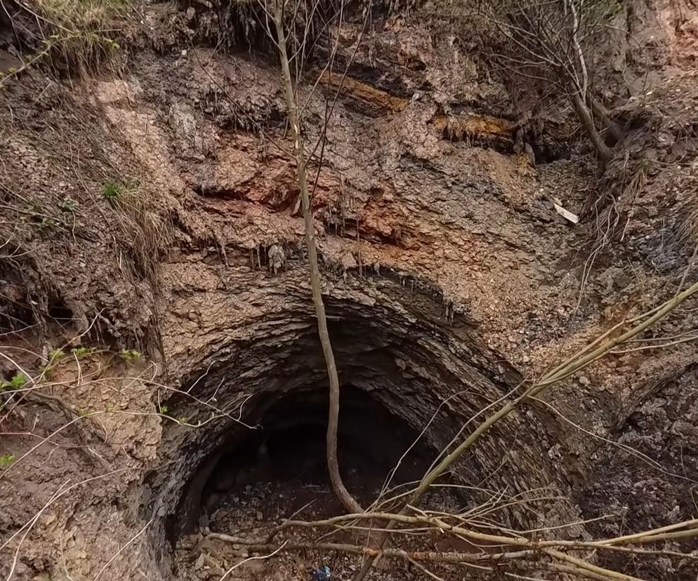 Gigantyczne zapadlisko pochłania drogę i drzewa. To ewenement