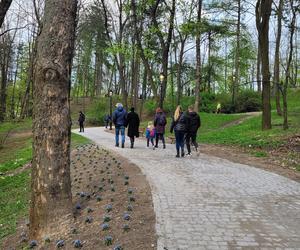 Kraków. Wyremontowany park Bednarskiego oficjalnie otwarty