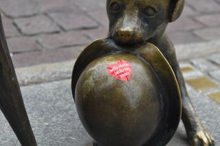 Tak wyglądał Finał WOŚP w Toruniu. W 2024 roku spotkamy się po raz 32