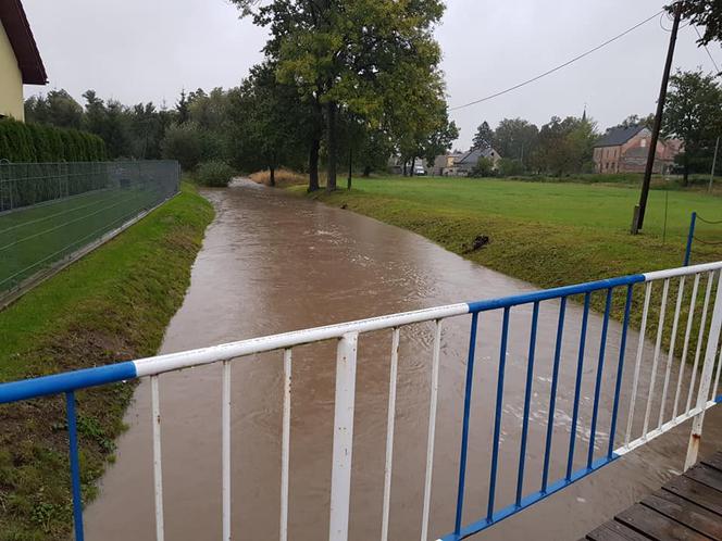 Wezbrane rzeki na Dolnym Śląsku