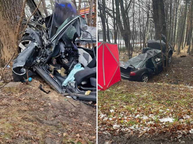 Audi roztrzaskało się na drzewie, 40-latek zginął na miejscu