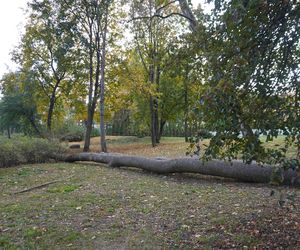 Park Lubomirskich w Białymstoku jesienią 